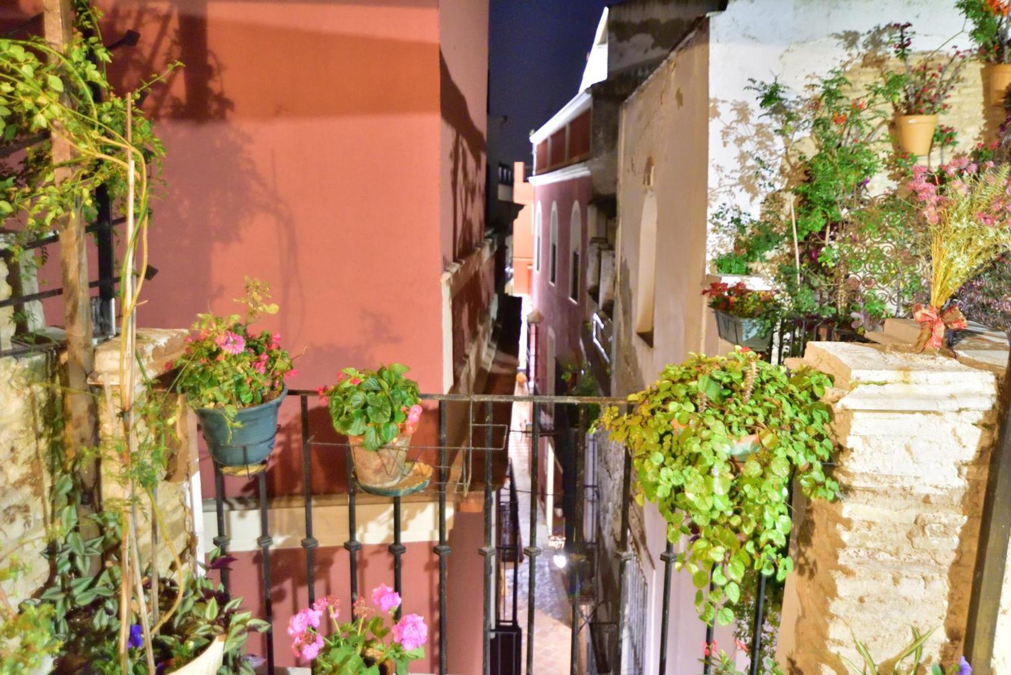 Casa Tenorio Barrio De Santa Cruz 塞维利亚 外观 照片