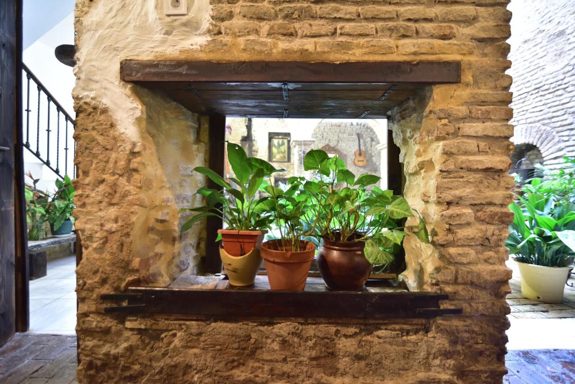 Casa Tenorio Barrio De Santa Cruz 塞维利亚 外观 照片